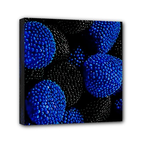 Berry, One,berry Blue Black Mini Canvas 6  x 6  (Stretched)