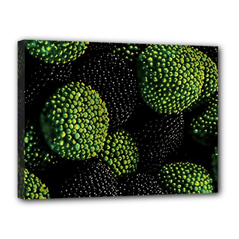 Berry,note, Green, Raspberries Canvas 16  X 12  (stretched) by nateshop