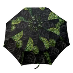 Berry,note, Green, Raspberries Folding Umbrellas by nateshop