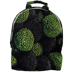 Berry,note, Green, Raspberries Mini Full Print Backpack by nateshop