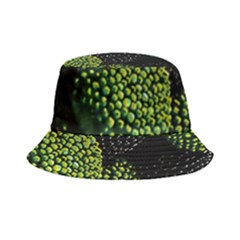 Berry,note, Green, Raspberries Bucket Hat by nateshop
