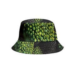 Berry,note, Green, Raspberries Inside Out Bucket Hat (kids) by nateshop