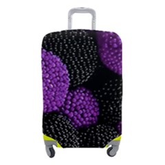 Berry,raspberry, Plus, One Luggage Cover (small) by nateshop