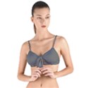 Gray, Color, Background, Monochrome, Minimalism Tie Up Cut Bikini Top View1