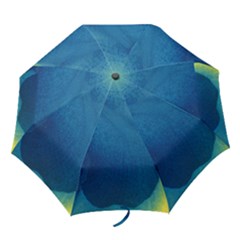 Plus, Curved Folding Umbrellas by nateshop