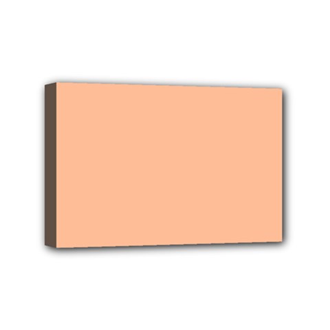 Peach Fuzz 2024 Mini Canvas 6  X 4  (stretched) by dressshop