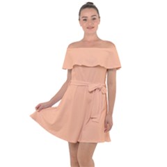 Peach Fuzz 2024 Off Shoulder Velour Dress by dressshop