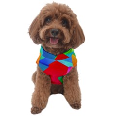 Colors, Color Dog Sweater