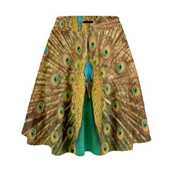 Peacock Feather Bird Peafowl High Waist Skirt