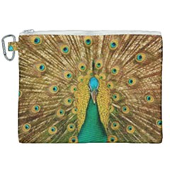 Peacock Feather Bird Peafowl Canvas Cosmetic Bag (xxl)