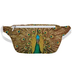 Peacock Feather Bird Peafowl Waist Bag 