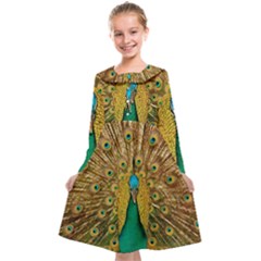 Peacock Feather Bird Peafowl Kids  Midi Sailor Dress