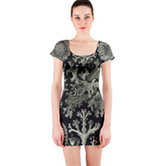 Weave Haeckel Lichenes Photobionten Short Sleeve Bodycon Dress