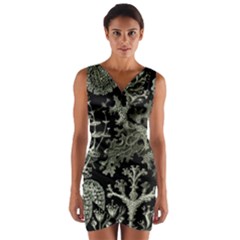 Weave Haeckel Lichenes Photobionten Wrap Front Bodycon Dress