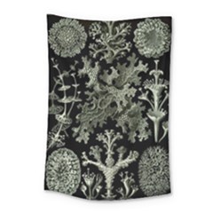 Weave Haeckel Lichenes Photobionten Small Tapestry by Cemarart