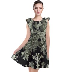 Weave Haeckel Lichenes Photobionten Tie Up Tunic Dress