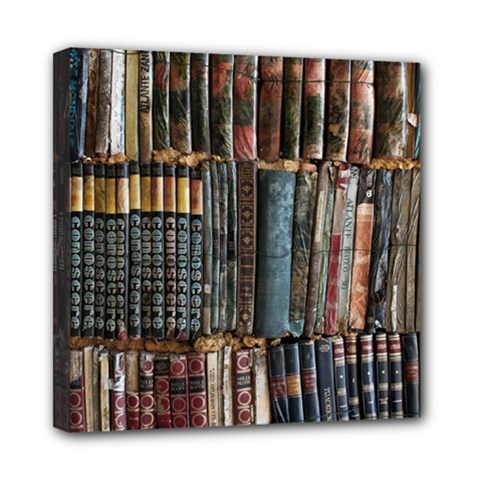 Assorted Title Of Books Piled In The Shelves Assorted Book Lot Inside The Wooden Shelf Mini Canvas 8  x 8  (Stretched)