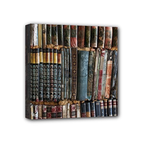 Pile Of Books Photo Of Assorted Book Lot Backyard Antique Store Mini Canvas 4  x 4  (Stretched)