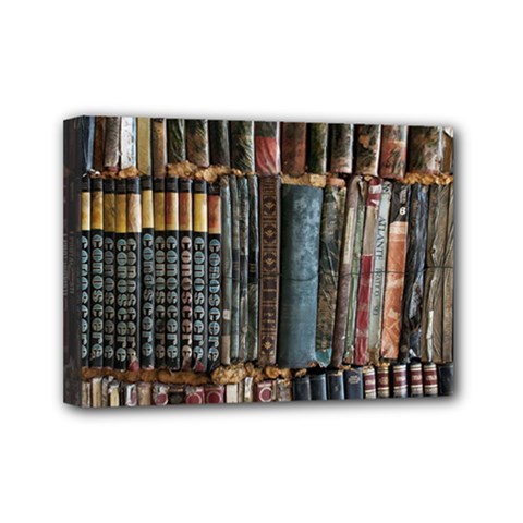 Pile Of Books Photo Of Assorted Book Lot Backyard Antique Store Mini Canvas 7  x 5  (Stretched)