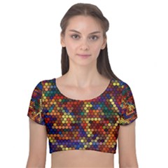 Flower Retro Funky Psychedelic Velvet Short Sleeve Crop Top 