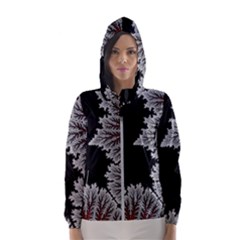 Silhouette Of Aurora Borealis Women s Hooded Windbreaker by Bedest