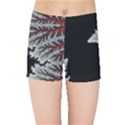 Himalaya Nature Mountain Kids  Sports Shorts View1