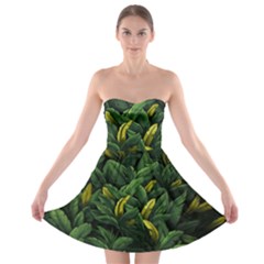 Banana Leaves Strapless Bra Top Dress