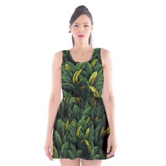 Banana leaves Scoop Neck Skater Dress