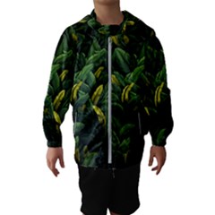 Banana Leaves Kids  Hooded Windbreaker