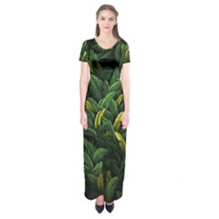 Banana Leaves Short Sleeve Maxi Dress