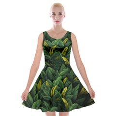 Banana leaves Velvet Skater Dress