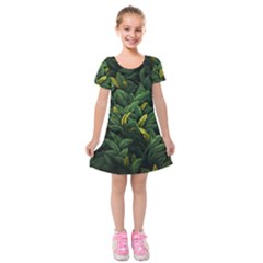 Banana Leaves Kids  Short Sleeve Velvet Dress
