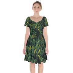 Banana leaves Short Sleeve Bardot Dress