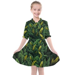 Banana Leaves Kids  All Frills Chiffon Dress