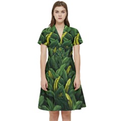 Banana leaves Short Sleeve Waist Detail Dress