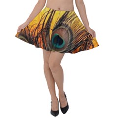 Peacock Feather Native Velvet Skater Skirt