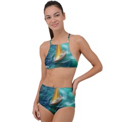 Lion King Of The Jungle Nature Halter Tankini Set by Cemarart