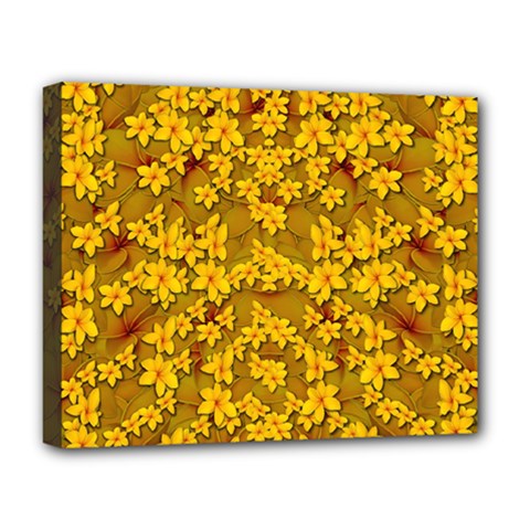 Blooming Flowers Of Lotus Paradise Deluxe Canvas 20  X 16  (stretched)