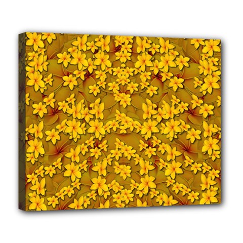 Blooming Flowers Of Lotus Paradise Deluxe Canvas 24  X 20  (stretched)