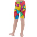 Abstract Cube Colorful  3d Square Pattern Kids  Mid Length Swim Shorts View2