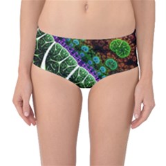 Digital Art Fractal Abstract Artwork 3d Floral Pattern Waves Vortex Sphere Nightmare Mid-waist Bikini Bottoms