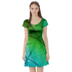 3d Leaves Texture Sheet Blue Green Short Sleeve Skater Dress