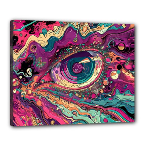 Human Eye Pattern Canvas 20  X 16  (stretched) by Grandong