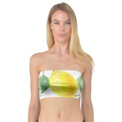 Fruit-2310212 Bandeau Top by lipli