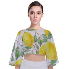 Fruit-2310212 Tie Back Butterfly Sleeve Chiffon Top