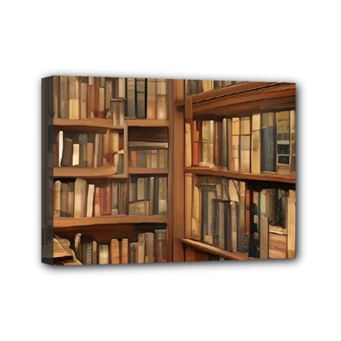 Room Interior Library Books Bookshelves Reading Literature Study Fiction Old Manor Book Nook Reading Mini Canvas 7  X 5  (stretched)