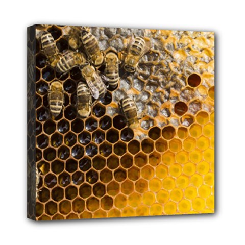 Honeycomb With Bees Mini Canvas 8  X 8  (stretched)