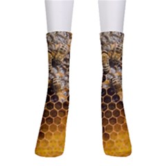 Honeycomb With Bees Crew Socks by Apen