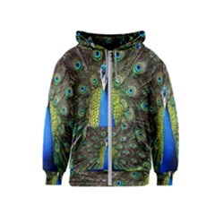 Peacock Bird Feathers Pheasant Nature Animal Texture Pattern Kids  Zipper Hoodie