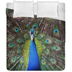 Peacock Bird Feathers Pheasant Nature Animal Texture Pattern Duvet Cover Double Side (california King Size) by Bedest